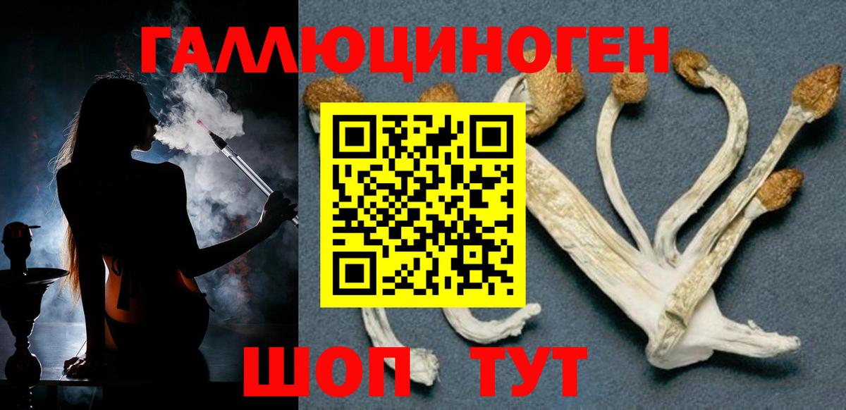 сколько стоит  Галлюциногенные грибы Magic Shrooms  Вход с VPN  Псилоцибиновые грибы ЛСД  Тихорецк 